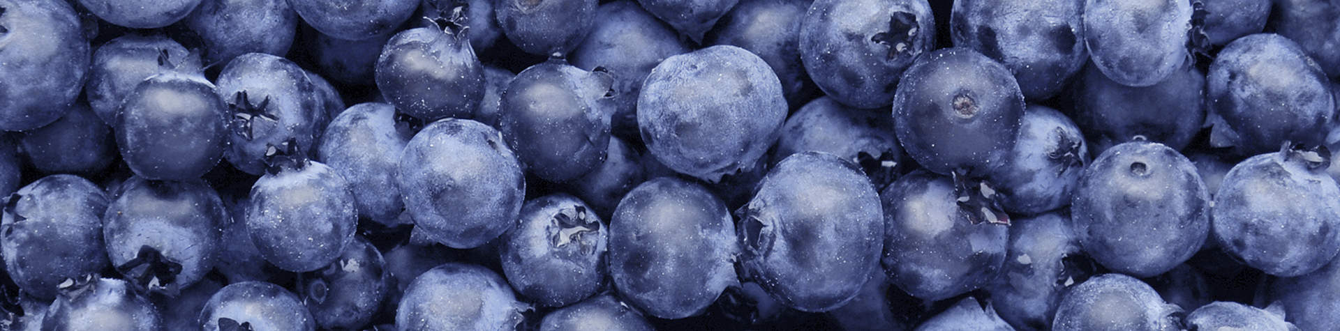 Blueberry Frozen Fruit Bars Chloe S Pops